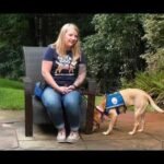 Empower Veterans with Service Dog Donations