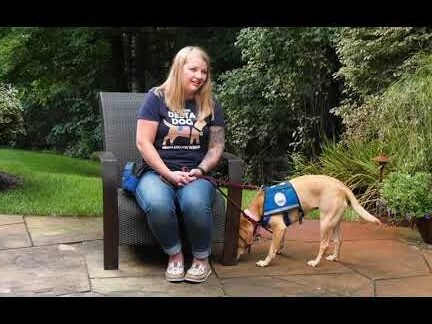 empower veterans with service dog donations